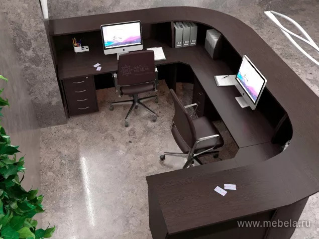 ресепшн Рива Венге