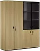 Офисный шкаф для документов комбинированный