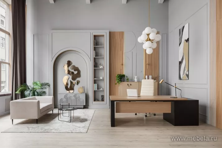 кабинет Ренц Лайт