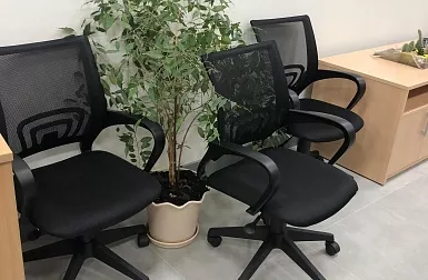 Интерколор