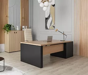 кабинет Ренц Лайт