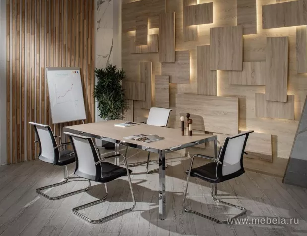 кабинет Энцо