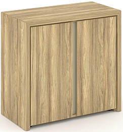 Офисный шкаф низкий широкий (2 низких фасада ЛДСП)