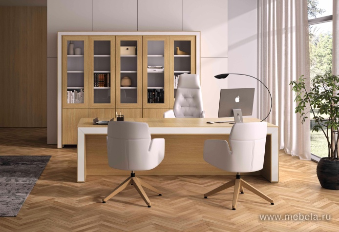 кабинет Белеса