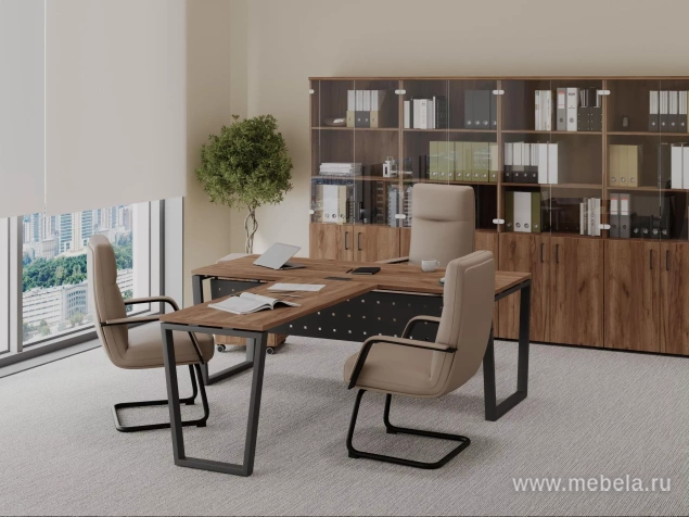 кабинет Проджект Дуб Т